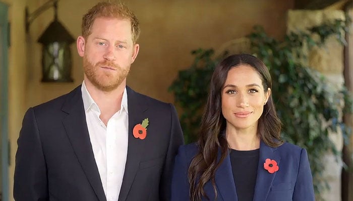 Prince Harry, Meghan Markle react as new series fail to impress audience