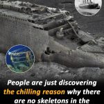 The mysterious absence of bodies in Titanic’s wreckage