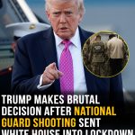 Trump makes brutal decision after National Guard shooting sent White House into lockdown