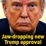 Fresh Trump Approval Poll Shows What the U.S. Truly Believes