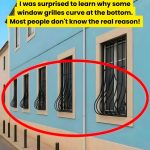 Curved Window Grilles vs. Straight Grilles: Which One Is Better for Your Home?