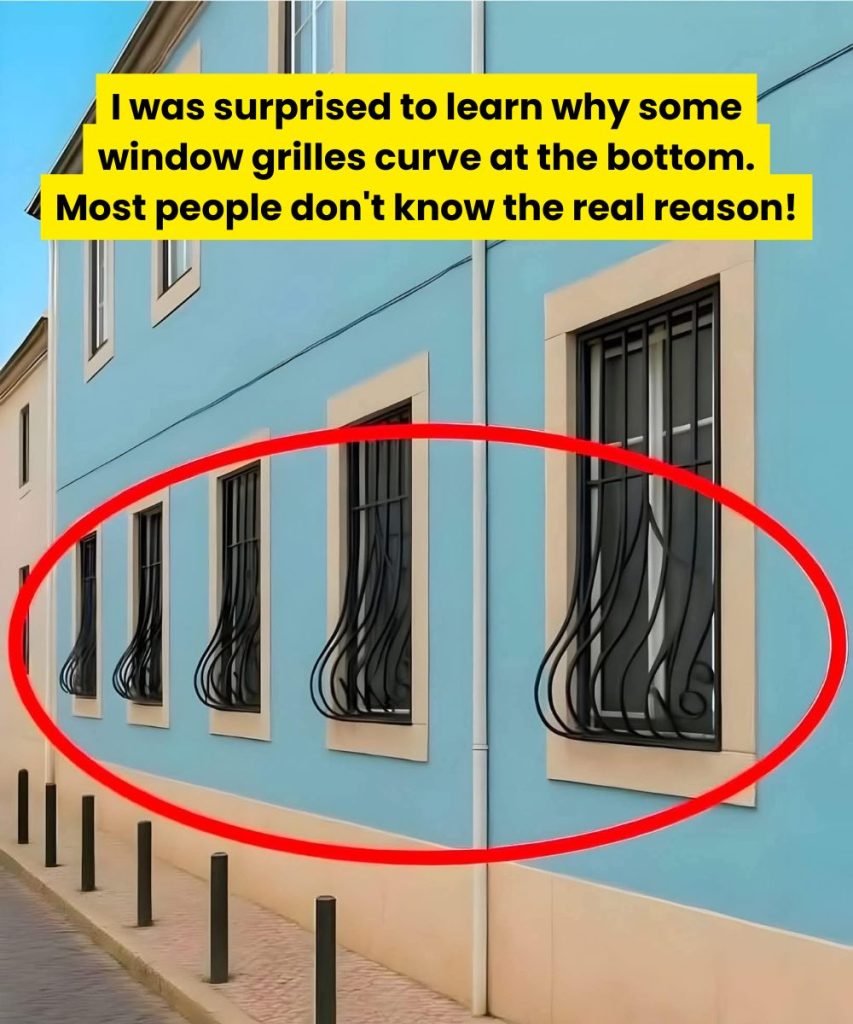 Curved Window Grilles vs. Straight Grilles: Which One Is Better for Your Home?