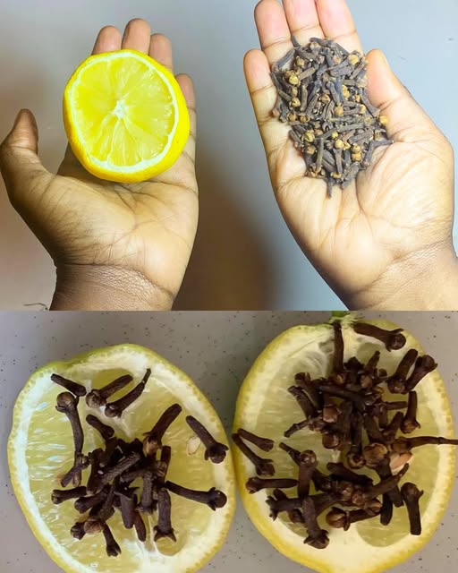 The Viral DIY Collagen Oil That’s Making Women Look 10 Years Younger Overnight – You Won’t Believe How Simple It Is!