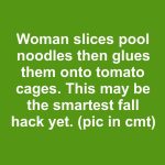 Woman slices pool noodles then glues them onto tomato cages. This may be the smartest fall hack yet.