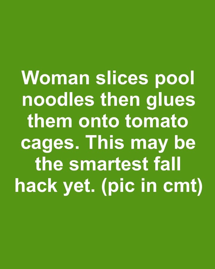 Woman slices pool noodles then glues them onto tomato cages. This may be the smartest fall hack yet.