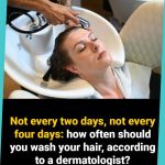 Not every two days, not every four days: how often should you wash your hair, according to a dermatologist?