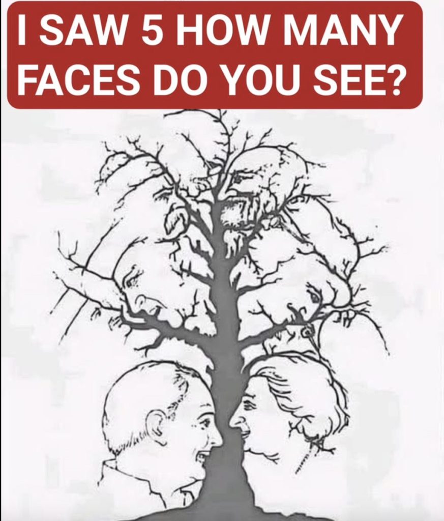 Only a few people can find all the faces hidden in this tree – are you one of them?
