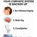 10 vital signs your lymphatic system is backed up