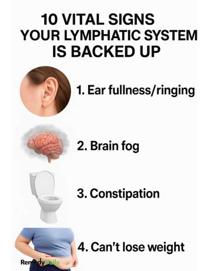 10 vital signs your lymphatic system is backed up