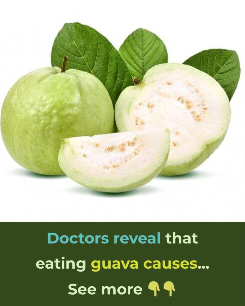 Doctors reveal that eating guava causes…