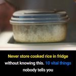 11 Essential Facts About Safely Storing Cooked Rice You Shouldn’t Ignore
