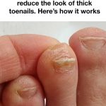 So good! Thanks nana!