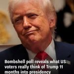 Bombshell poll reveals what US voters really think of Trump 11 months into presidency