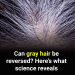 Can gray hair be reversed? Science answers