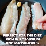 The perfect fish for all ages: rich in benefits and nutrients.