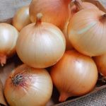 Doctors reveal that eating onion causes …