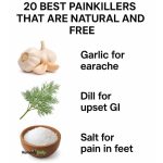 20 best painkillers that are natural and free