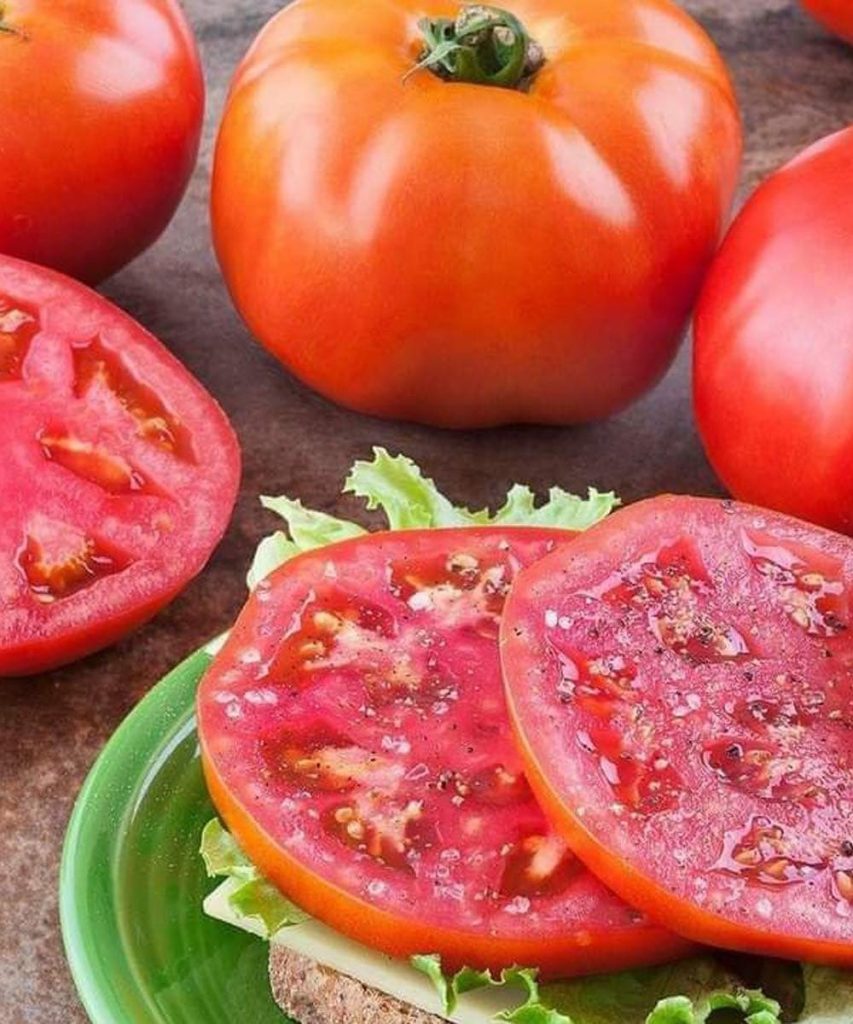 Mystic Tomato Salad with Green Spells