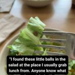 I Almost Ate This Until I Looked Closer — A Reminder to Always Check Your Food
