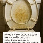 Moved into new place, and toilet seat underside has gross yellow/brown pee stains. Plastic/melamine feel. Any miracle cleaners or tricks before I replace whole seat? Thanks!
