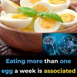 Proven Health Benefits of Eating Eggs Based on Evidence