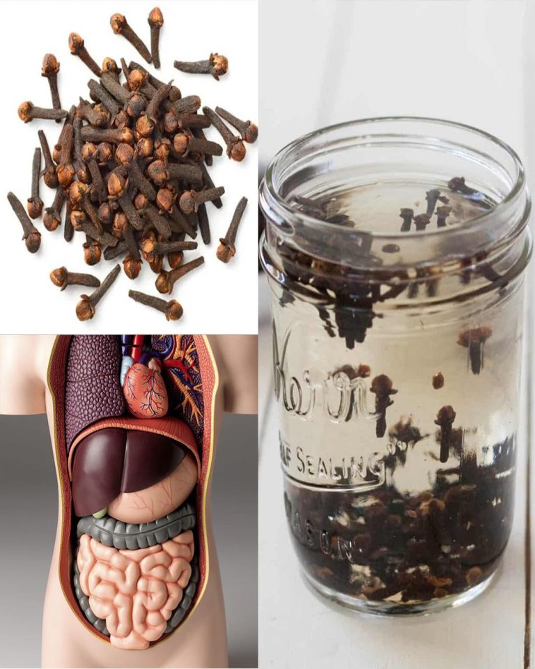 8 Surprising Benefits of Water Cloves You Probably Didn’t Know About