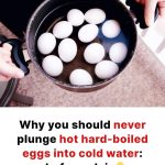 Why you should never plunge hot hard-boiled eggs into cold water: the chefs’ explanation