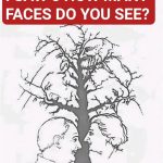 Only a few people can find all the faces hidden in this tree – are you one of them?