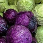 Doctors reveal that eating cabbage causes …