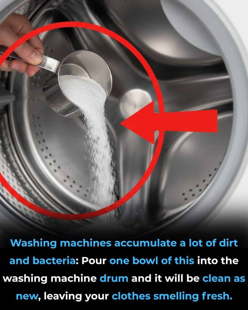Washing machines accumulate a lot of dirt and bacteria: Pour one bowl of this into the washing machine drum and it will be clean as new, leaving your clothes smelling fresh