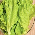 Doctors reveal that eating lettuce in winter causes …
