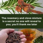 Rosemary and cloves: a powerful natural combination for hair, skin, digestion and pain relief