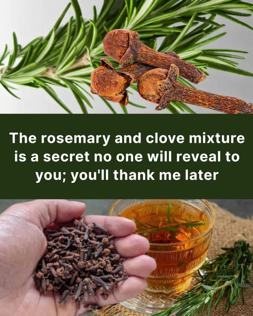 Rosemary and cloves: a powerful natural combination for hair, skin, digestion and pain relief
