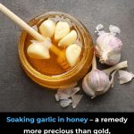 Soaking garlic in honey – a remedy more precious than gold, preventing a multitude of diseases