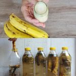 Everybody loves bananas, and most people throw away banana peels… Big mistake!