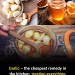 Garlic – the cheapest remedy in the kitchen, treating everything from colds to he.art health