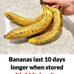 Bananas last 10 days longer when stored with one kitchen item instead of in a fruit bowl