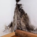 If your walls are turning black in a corner, it’s no accident: find out what it really means (and how to fix it)