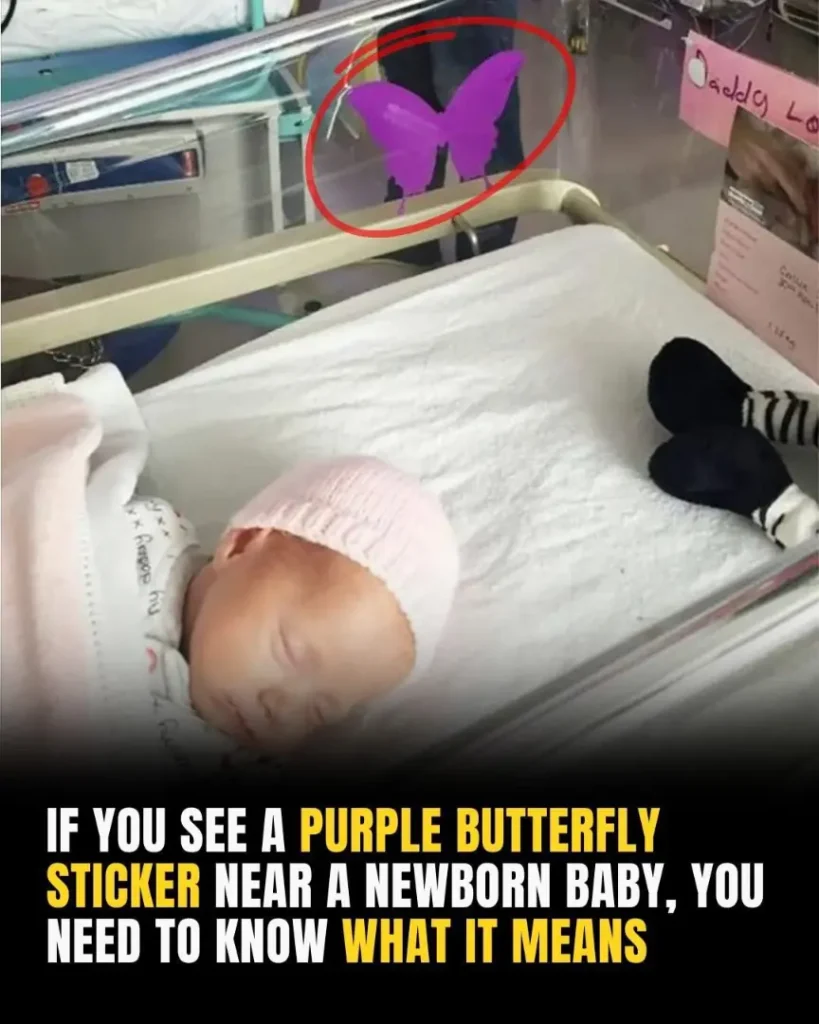 If You See A Purple Butterfly Sticker Near A Newborn, Here’s What It Means