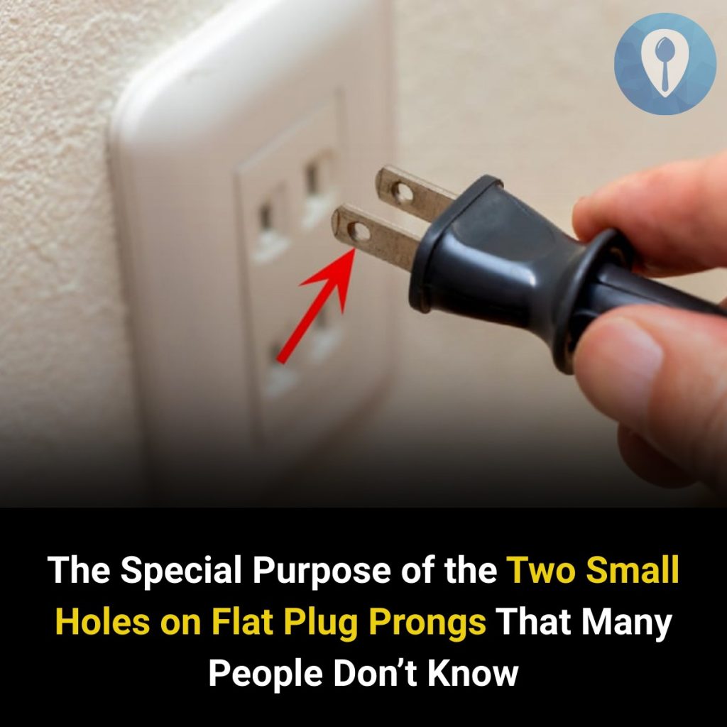 The Special Purpose of the Two Small Holes on Flat Plug Prongs That Many People Don’t Know