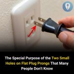 The Special Purpose of the Two Small Holes on Flat Plug Prongs That Many People Don’t Know