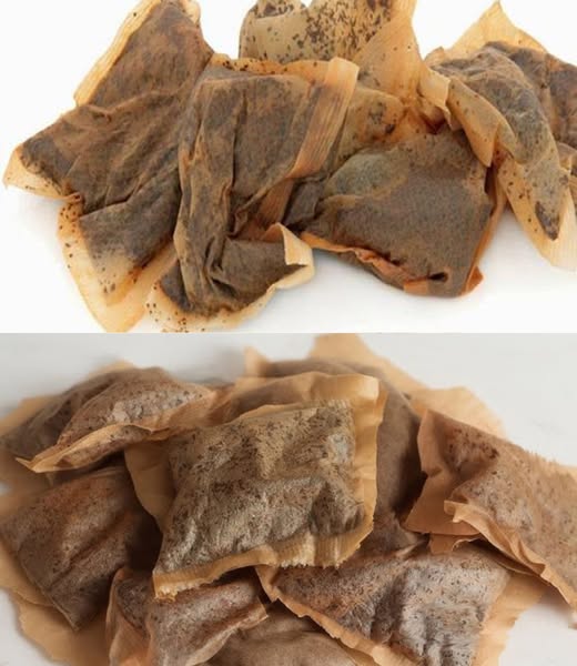 Don’t make the mistake of throwing away tea bags, they are worth their weight in gold used this way… check comments 👇Teabags: 7 household remedies that show why you should never throw away a used teabag again