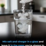 Discover: A Glass of Water, Vinegar, and Salt Can Cleanse Your Home