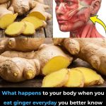 Surprising Health Benefits of Eating Ginger Every Day