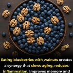 Nature’s Duo: The Power of Blueberries and Walnuts for a Stronger Body and Mind