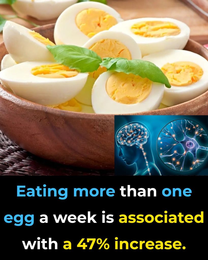 Proven Health Benefits of Eating Eggs Based on Evidence