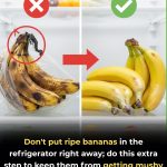 Don’t Put Ripe Bananas in the Refrigerator Right Away—Do This First to Keep Them Fresh Longer
