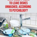 The psychological meaning behind leaving dirty dishes and why they shouldn’t pile up
