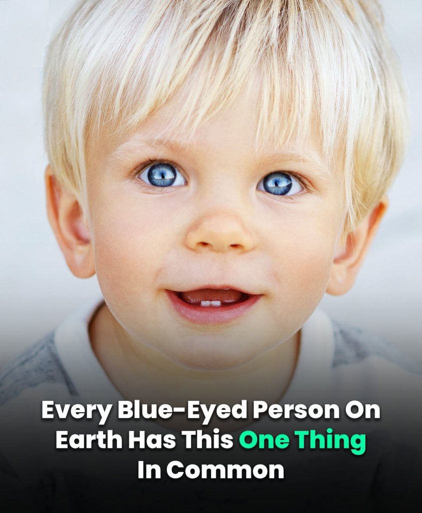 All Blue-Eyed People Share One Surprising Trait