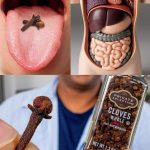 Chewing 2 cloves a day keeps the doctor away (better than you think)
